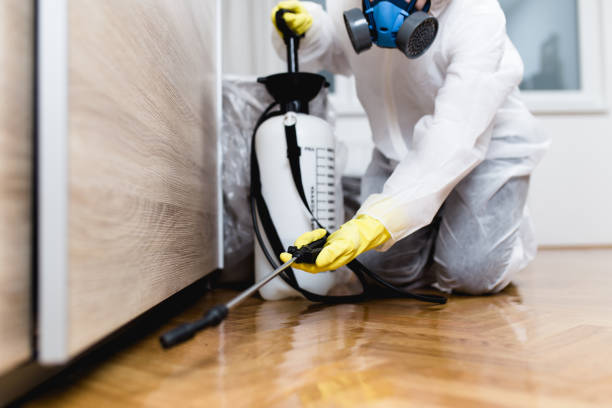 Best Commercial Pest Control Services  in Jasonville, IN