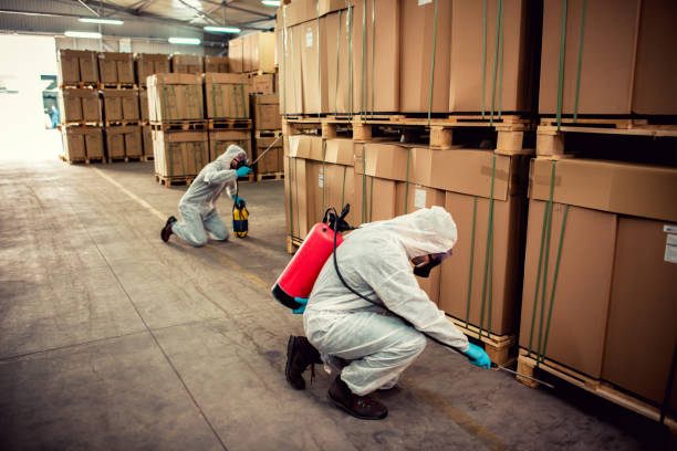 Best Local Pest Control Services  in Jasonville, IN