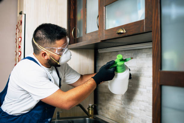 Wasp Removal Services in Jasonville, IN