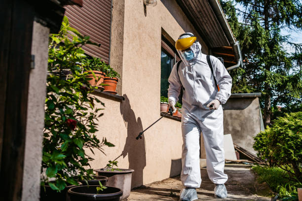 Best Residential Pest Control  in Jasonville, IN