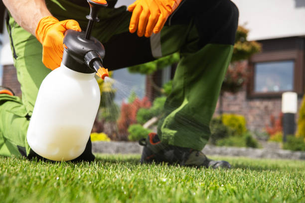 Best Termite Control Services  in Jasonville, IN