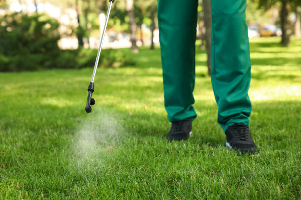 Best Pest Control for Homes  in Jasonville, IN