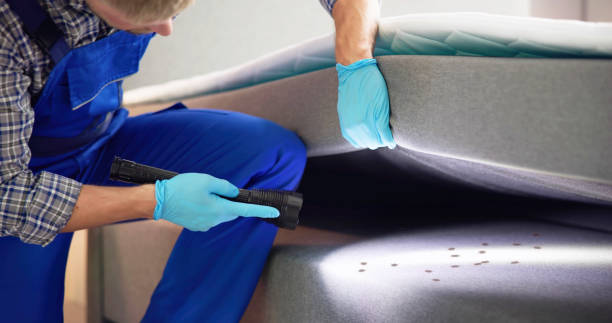 Best Pest Control for Businesses  in Jasonville, IN