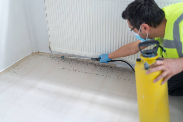 Best Exterminator Services  in Jasonville, IN